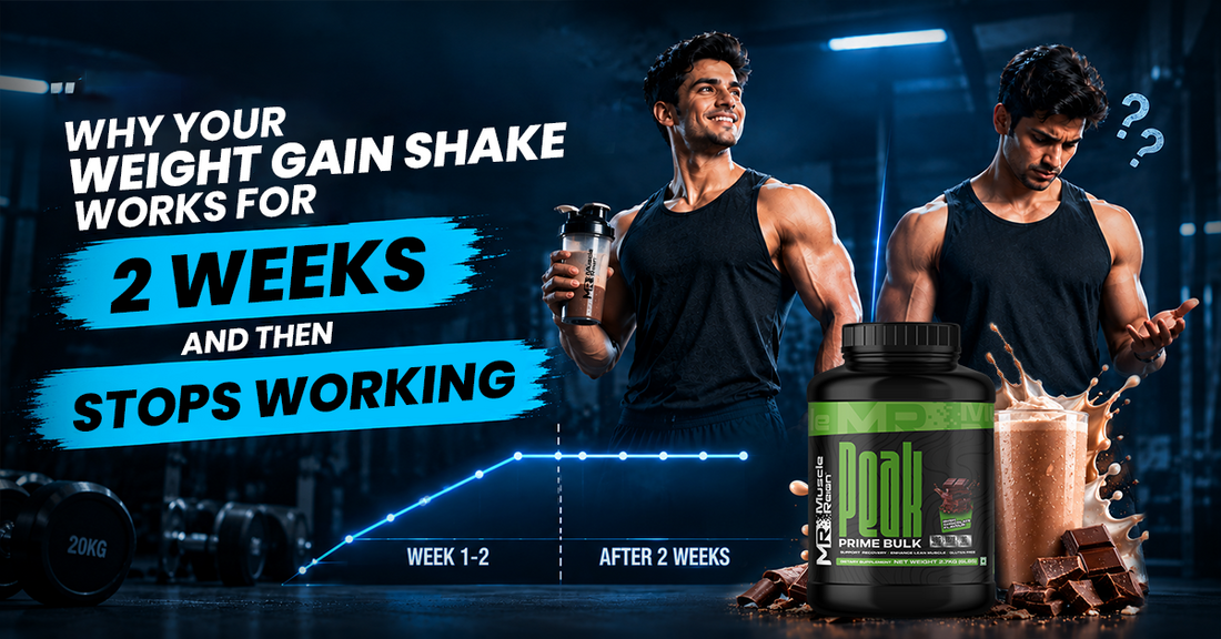 Why Your Weight-Gain Shake Works for Two Weeks and Then Stops Working