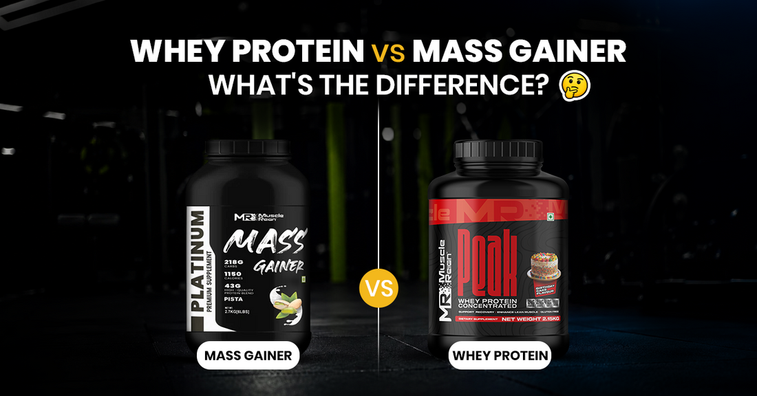 Protein vs Mass Gainer: What's the Difference?