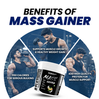Platinum Mass Gainer - 10Lbs | 1150 Calories | 43g Protein